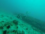 Hawaii Scuba divng 61