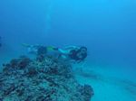 Hawaii Scuba divng 69