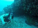 Hawaii Scuba divng 81