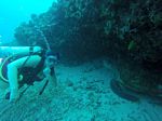 Hawaii Scuba divng 82