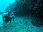 Hawaii Scuba divng 83