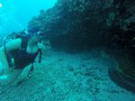 Hawaii Scuba divng 84