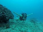 Hawaii Scuba divng 86