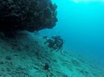 Hawaii Scuba divng 88