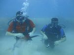 Hawaii Scuba divng 14