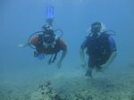 Hawaii Scuba divng 17