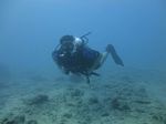 Hawaii Scuba divng 18