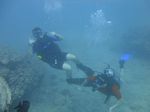 Hawaii Scuba divng 21