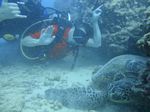 Hawaii Scuba divng 23