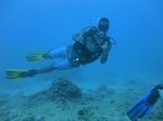 Hawaii Scuba 29