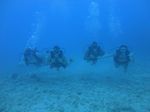 Hawaii Scuba 52