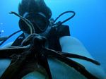 Hawaii Scuba 60