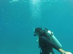 Hawaii Scuba divng 14