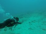 Hawaii Scuba divng 15