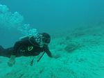 Hawaii Scuba divng 17