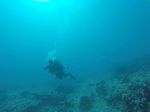 Hawaii Scuba divng 18