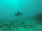 Hawaii Scuba divng 19