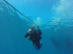 Hawaii Scuba divng 20