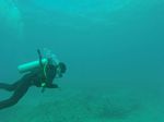 Hawaii Scuba divng 22