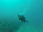 Hawaii Scuba divng 02