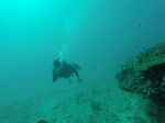 Hawaii Scuba divng 30