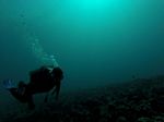 Hawaii Scuba divng 38
