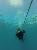 Hawaii Scuba divng 05