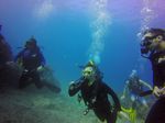 Hawaii Scuba divng 11