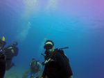 Hawaii Scuba divng 12