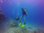 Hawaii Scuba divng 17