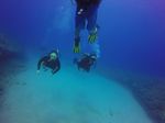 Hawaii Scuba divng 18