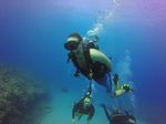 Hawaii Scuba divng 19