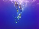 Hawaii Scuba divng 01