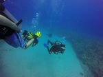 Hawaii Scuba divng 20