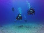 Hawaii Scuba divng 22