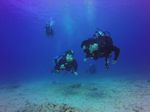 Hawaii Scuba divng 23