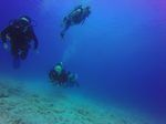 Hawaii Scuba divng 24