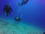 Hawaii Scuba divng 25