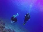 Hawaii Scuba divng 26