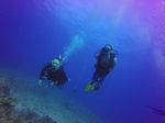 Hawaii Scuba divng 27