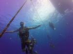 Hawaii Scuba divng 03