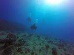 Hawaii Scuba divng 06