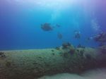 Hawaii Scuba divng 10