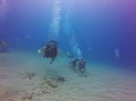 Hawaii Scuba divng 11