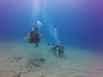 Hawaii Scuba divng 12