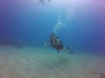 Hawaii Scuba divng 13