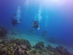 Hawaii Scuba divng 14