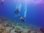 Hawaii Scuba divng 16