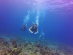 Hawaii Scuba divng 17