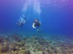 Hawaii Scuba divng 18